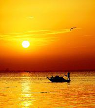 梁子湖[淡水湖]