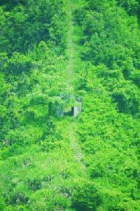 井坑嶺古道 井坑嶺古道