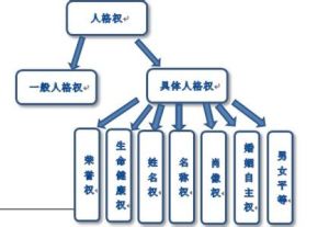 一般人格權 一般人格權
