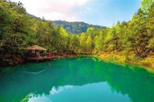 我在九龍坡等你 我在九龍坡等你