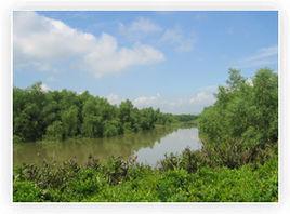 淇澳紅樹林保護區