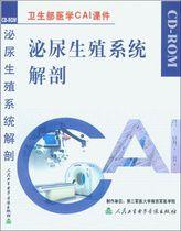 泌尿生殖系統解剖 泌尿生殖系統解剖
