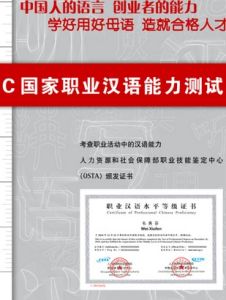 國家職業漢語能力測試 國家職業漢語能力測試