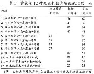 （圖）剪截促芽扦插育苗