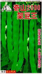 2000架豆王 2000架豆王