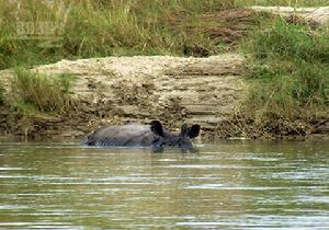 奇特旺國家公園