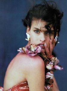 琳達·伊萬格麗斯塔 琳達·伊萬格麗斯塔