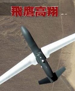 飛鷹高翔 飛鷹高翔