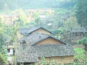 爛草灣自然村 爛草灣自然村