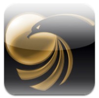 掌上金鷹 掌上金鷹