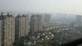 美茵河谷 美茵河谷