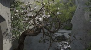 共振建築設計——中國造園