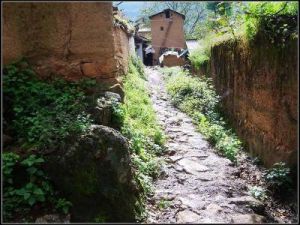 瓦義的村 瓦義的村