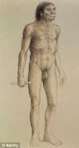 丹尼索瓦人 丹尼索瓦人