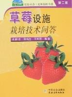 草莓設施栽培技術問答 草莓設施栽培技術問答