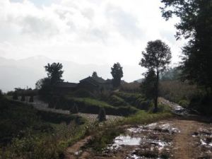 上陳家村自然村 上陳家村自然村