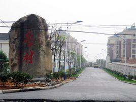 魯村[安徽省蕪湖市蕪湖縣灣沚鎮下轄村]