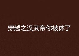 穿越之漢武帝你被休了