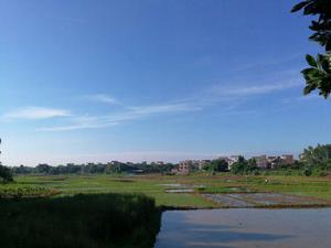 密山村田園風光