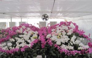 藍泊灣生態觀光園