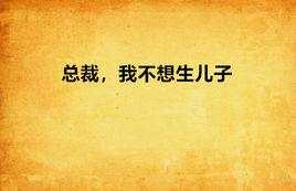 總裁，我不想生兒子