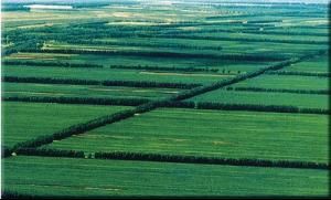 土默川平原 土默川平原