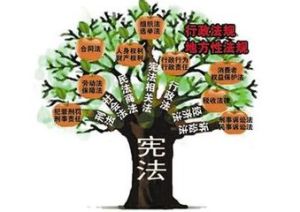訴願權 訴願權