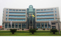 新鳳鳴集團股份有限公司