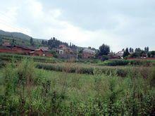 貓貓箐自然村 貓貓箐自然村