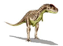 皺褶龍想像圖，一種原始阿貝力龍科恐龍
