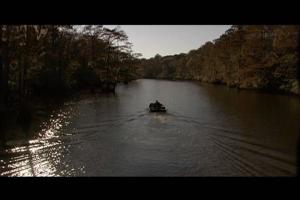 科學怪魚 的劇照