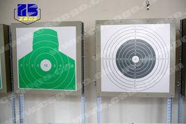 全息雷射電子靶 全息雷射電子靶