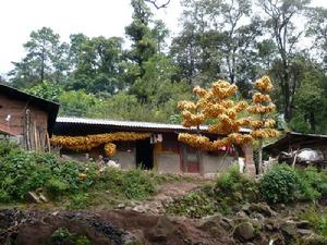 居心克土村 居心克土村