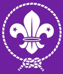 世界童軍運動組織 世界童軍運動組織