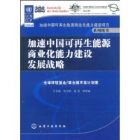 加速中國可再生能源商業化能力建設發展戰略 加速中國可再生能源商業化能力建設發展戰略