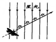 飛蛾撲火[漢語詞語]