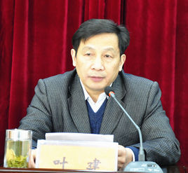 葉建[孝感市經濟和信息化委員會副主任、黨組成員]