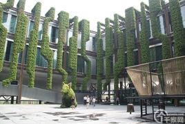 植物建築 植物建築