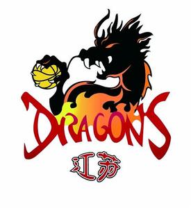 江蘇龍南鋼籃球俱樂部 江蘇龍南鋼籃球俱樂部