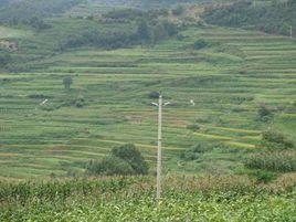 新田村[雲南省昆明市五華區廠口鄉新田村]
