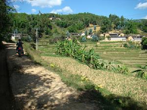 王獻山自然村 王獻山自然村