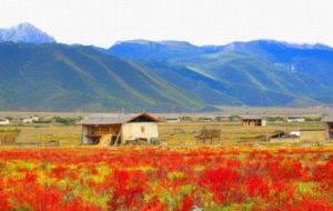 西香格里 西香格里