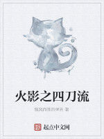 火影之四刀流