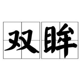 雙眸 雙眸