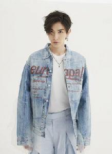 王瑞昌[中國內地男演員]