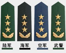 中國-陸海空武.軍/警銜