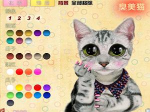 臭美貓 臭美貓