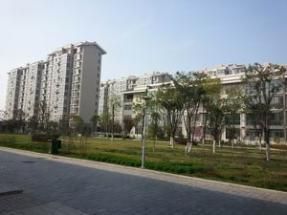 北頂子村 北頂子村