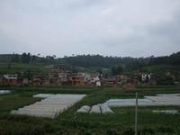 南沖自然村 南沖自然村