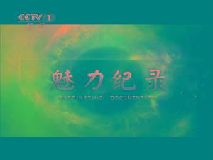 《魅力紀錄》於2012年12月17日啟用的片頭